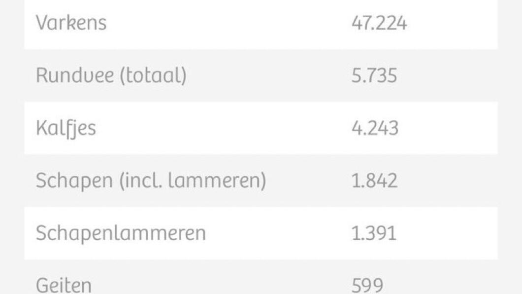 Aantal slachtingen per dier per dag in Nederland