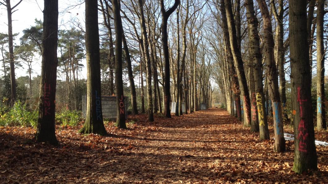 Gemerkte bomen in Nimmerdor