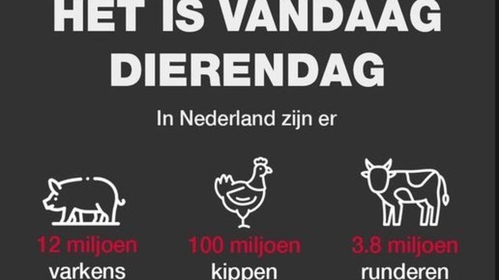 Eet geen dierendag 4 oktober