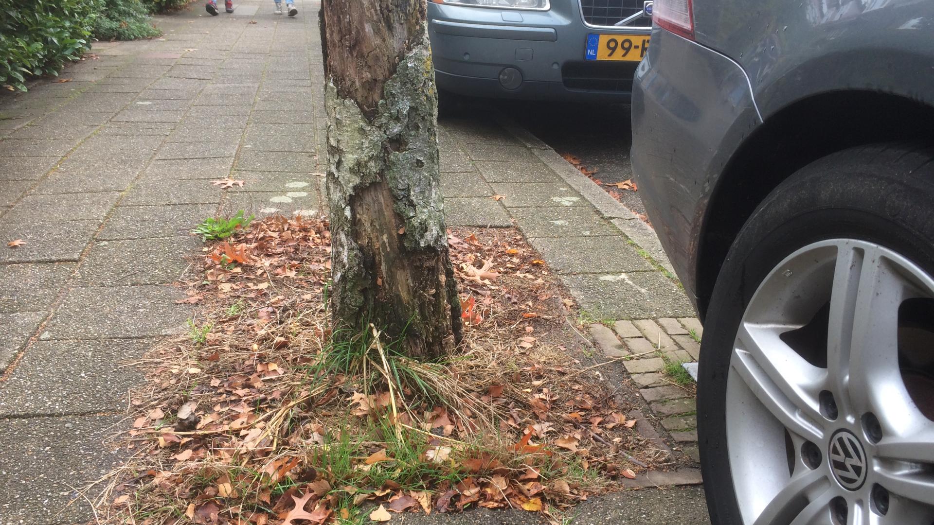 Groen Tientje