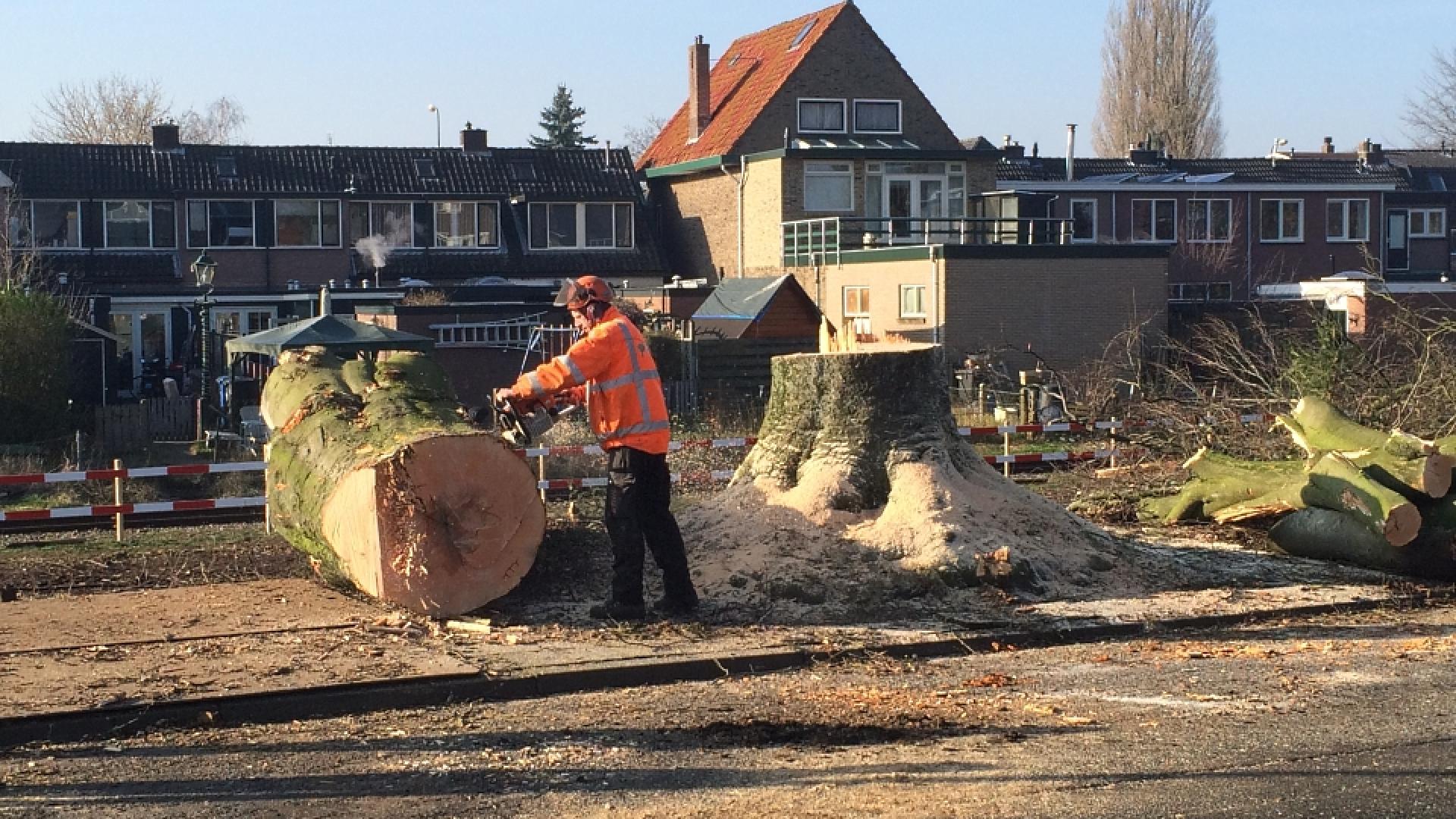Kersenbaan foto 2